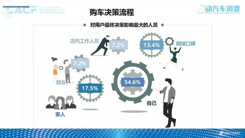 景洪某產品市場調研