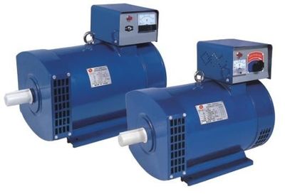 如何選址與供電 新型永磁發電機在蒙古園林抗旱保育中的應用前景之看臺報道